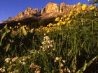 Rosengarten-Latemar