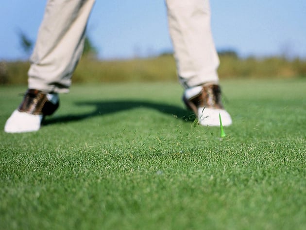 Servizio Golf al Pfösl