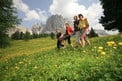 On the Weißhorn (mountain wandering)