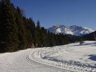 Cross-Country Skiing