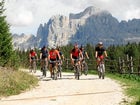 Nostro servizio Mountainbike