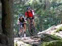Offerte per gli appassionati di mountainbike