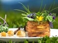 Genuss und Gourmet