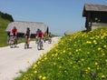 Summer Activities