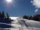 12 Skigenuss-Regionen laden ein, auf Skiern zu reisen