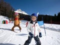 Pure Skiing Fun