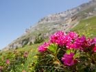 5 escursioni guidate in settimana