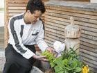 Frisches Brot aus unserem Steinbackofen...