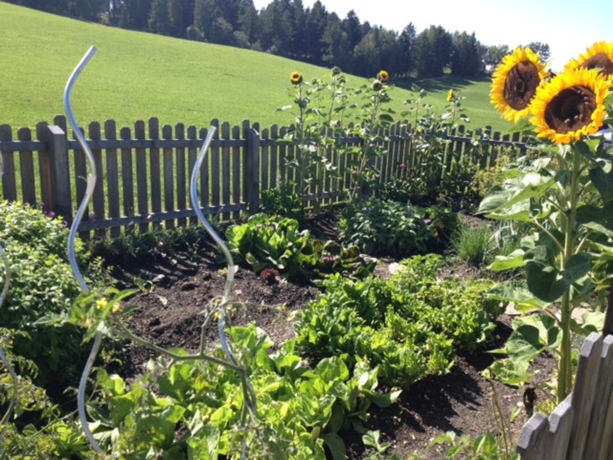 33+ Bilder Gemüsegarten, Lass dich von unseren gartenideen