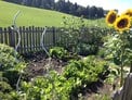 Pfösl's Gemüsegarten