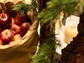 News ab Dezember 2012