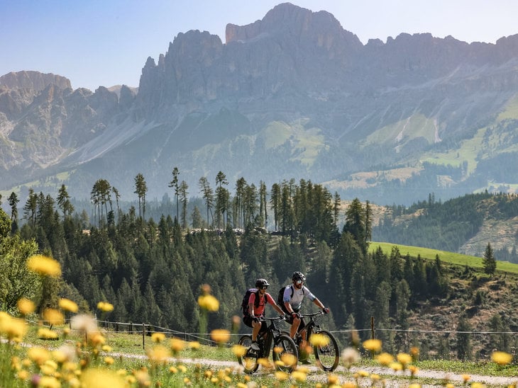 Servizio Mountainbike Pfösl