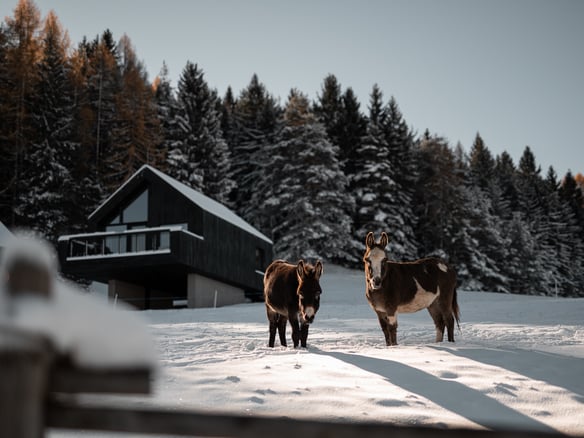 Wanderung im Einklang mit Tier und Natur