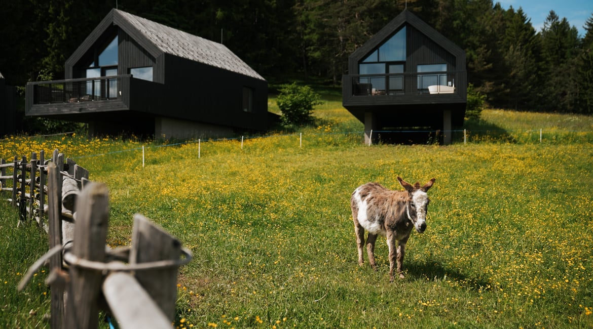 Wanderung im Einklang mit Tier und Natur