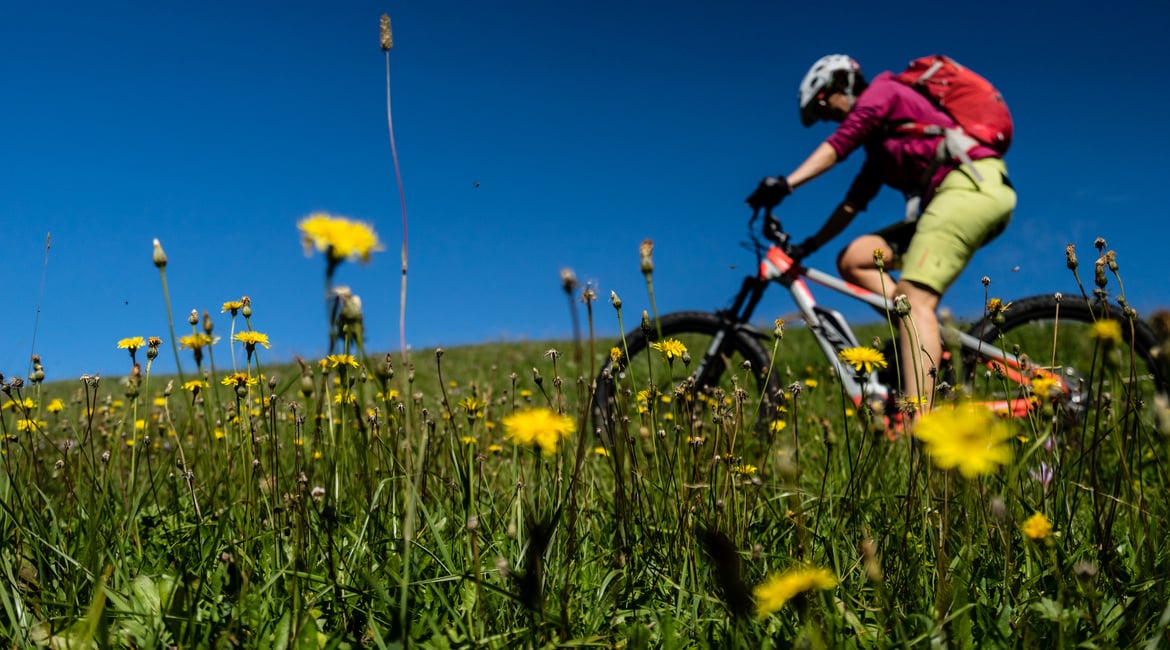 E-bike sharing in the Eggental Valley