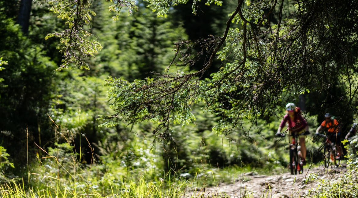 E-bike sharing in the Eggental Valley