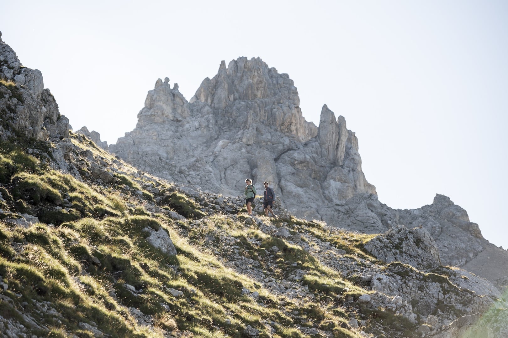 Benvenuti nella natura