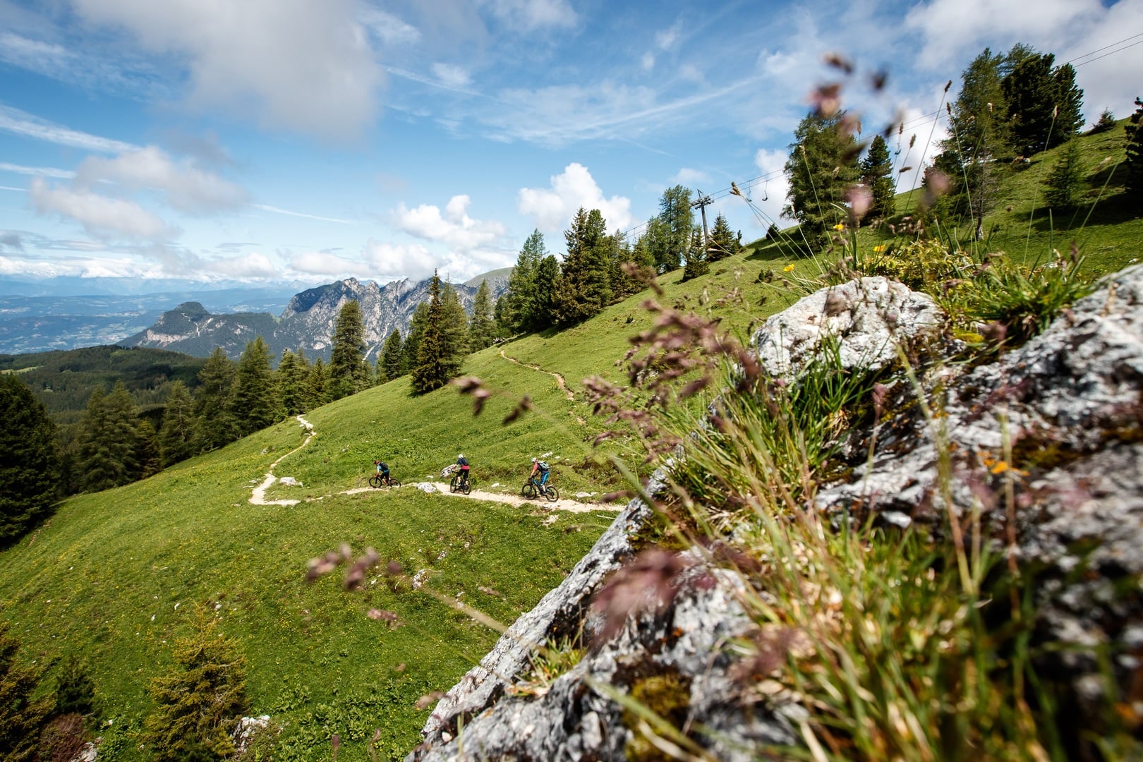 Vacation for mountainbikers