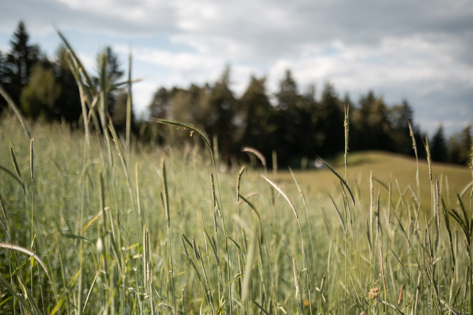 Aktivtipps sommer