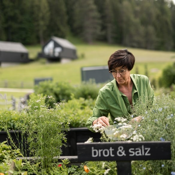Brigitte's herb beds