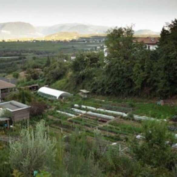 Fruits and vegetables from “Hof des Wandels”