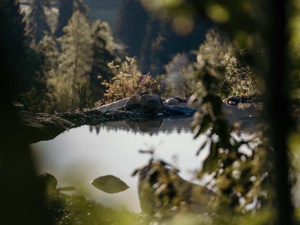 Giornale estivo 2026