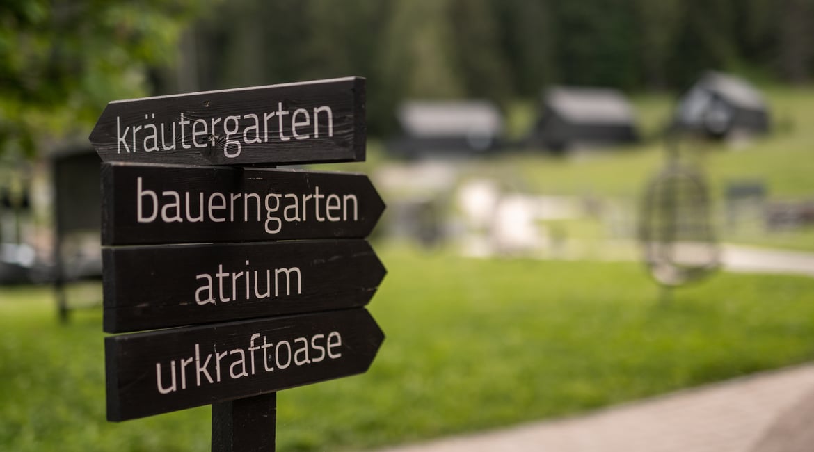 Brigittes Holunderblütensirup