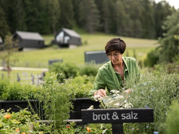 How we use alpine herbs at the Pfösl